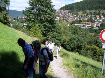 Klicken zum Vergrößern