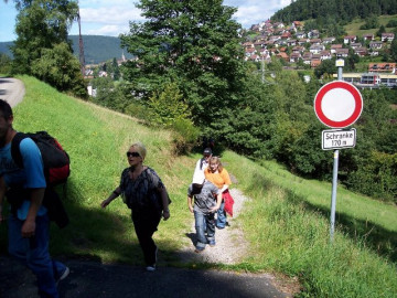 Klicken zum Vergrößern