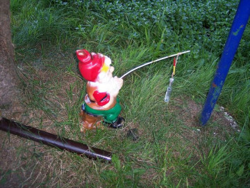 Klicken zum Vergrößern