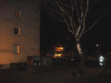 Klicken zum Vergrößern