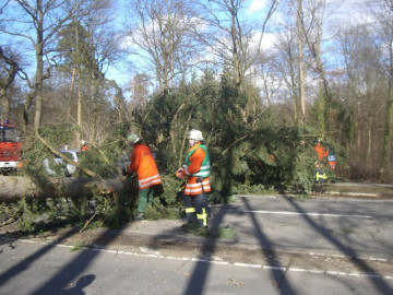 Klicken zum Vergrößern