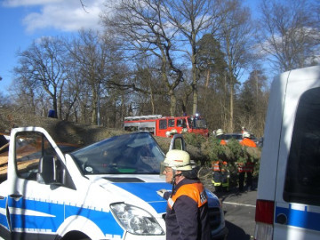 Klicken zum Vergrößern