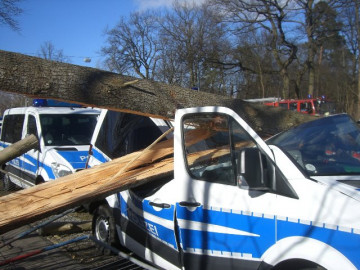 Klicken zum Vergrößern