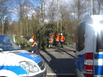 Klicken zum Vergrößern