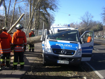 Klicken zum Vergrößern