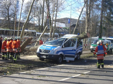 Klicken zum Vergrößern