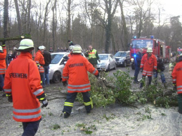 Klicken zum Vergrößern