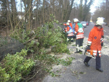Klicken zum Vergrößern