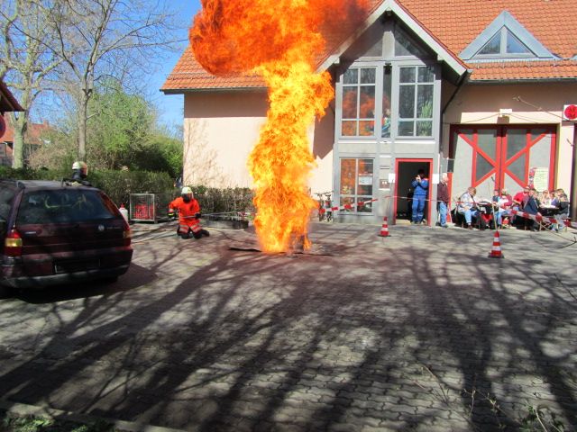 IMG 0033