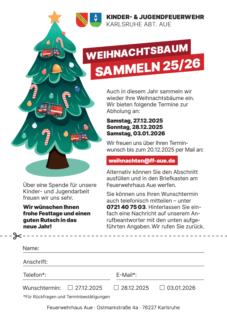 weihnachtsbaumsammeln
